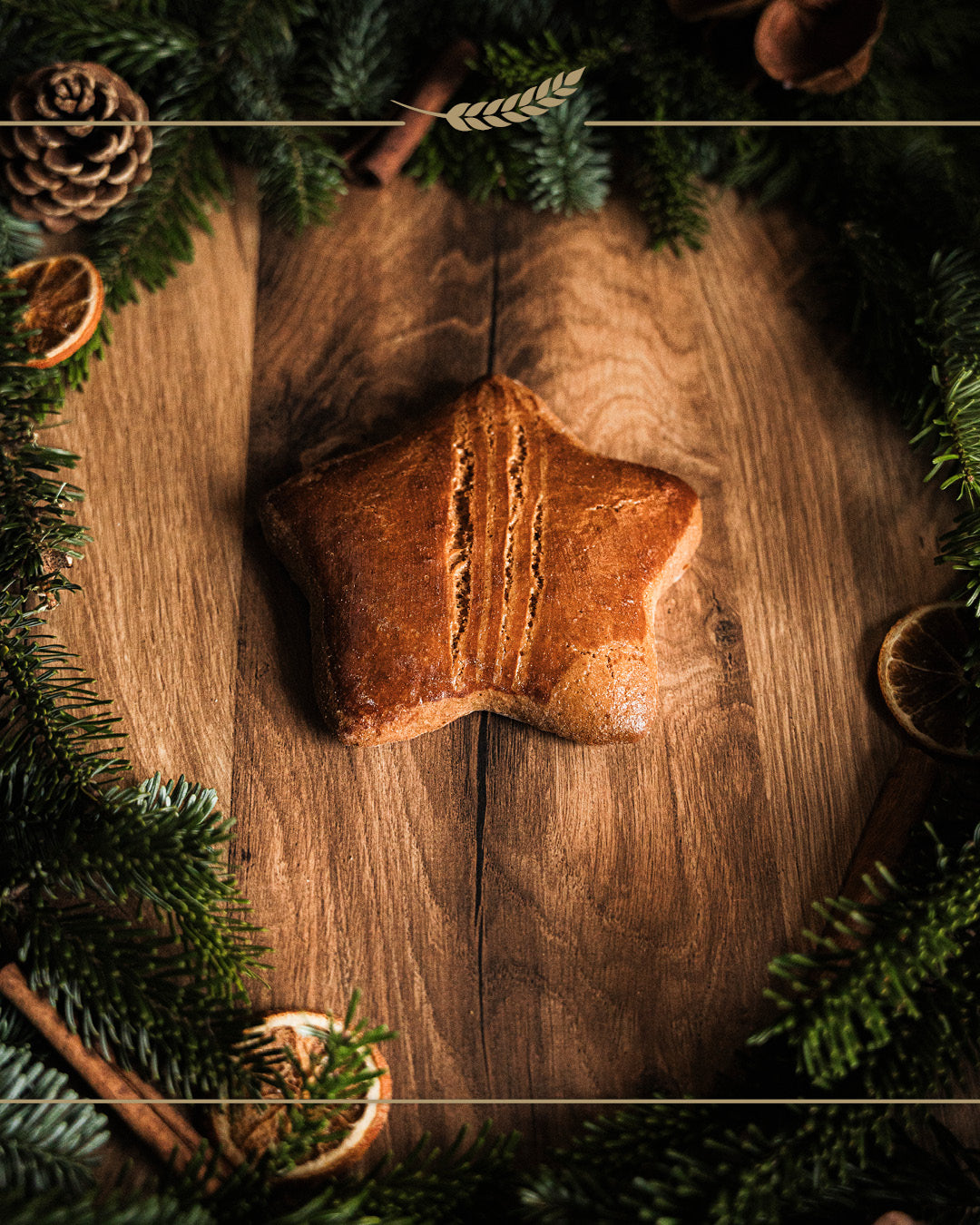 Lebkuchen Stern